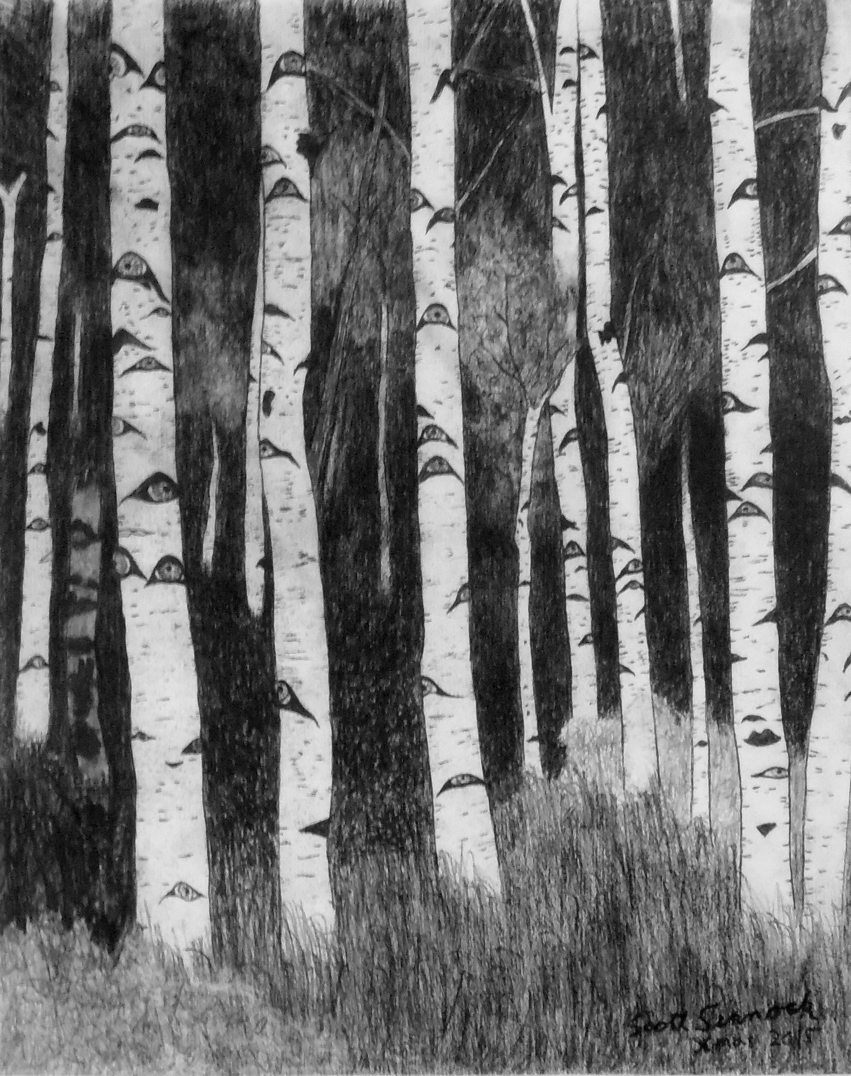 Forest Has 1000 Eyes