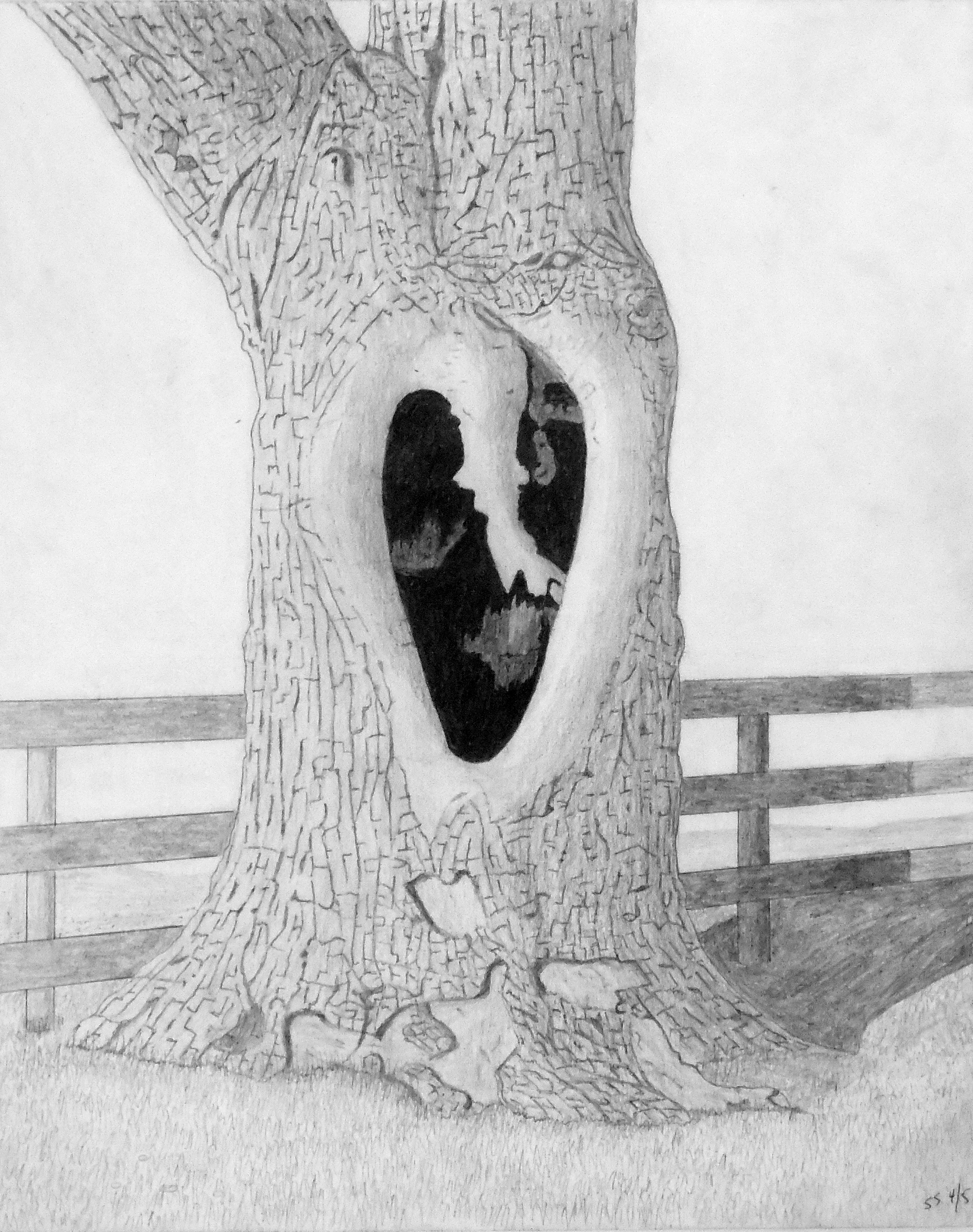 Tree Hollow
