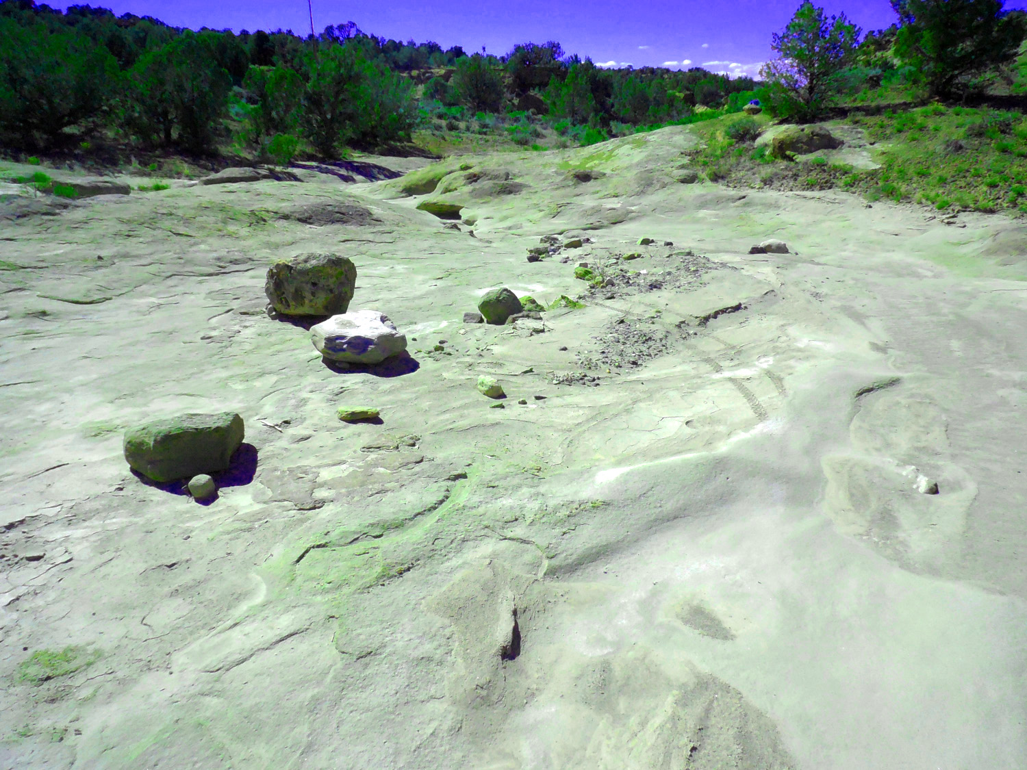 Mesa Verde Formation