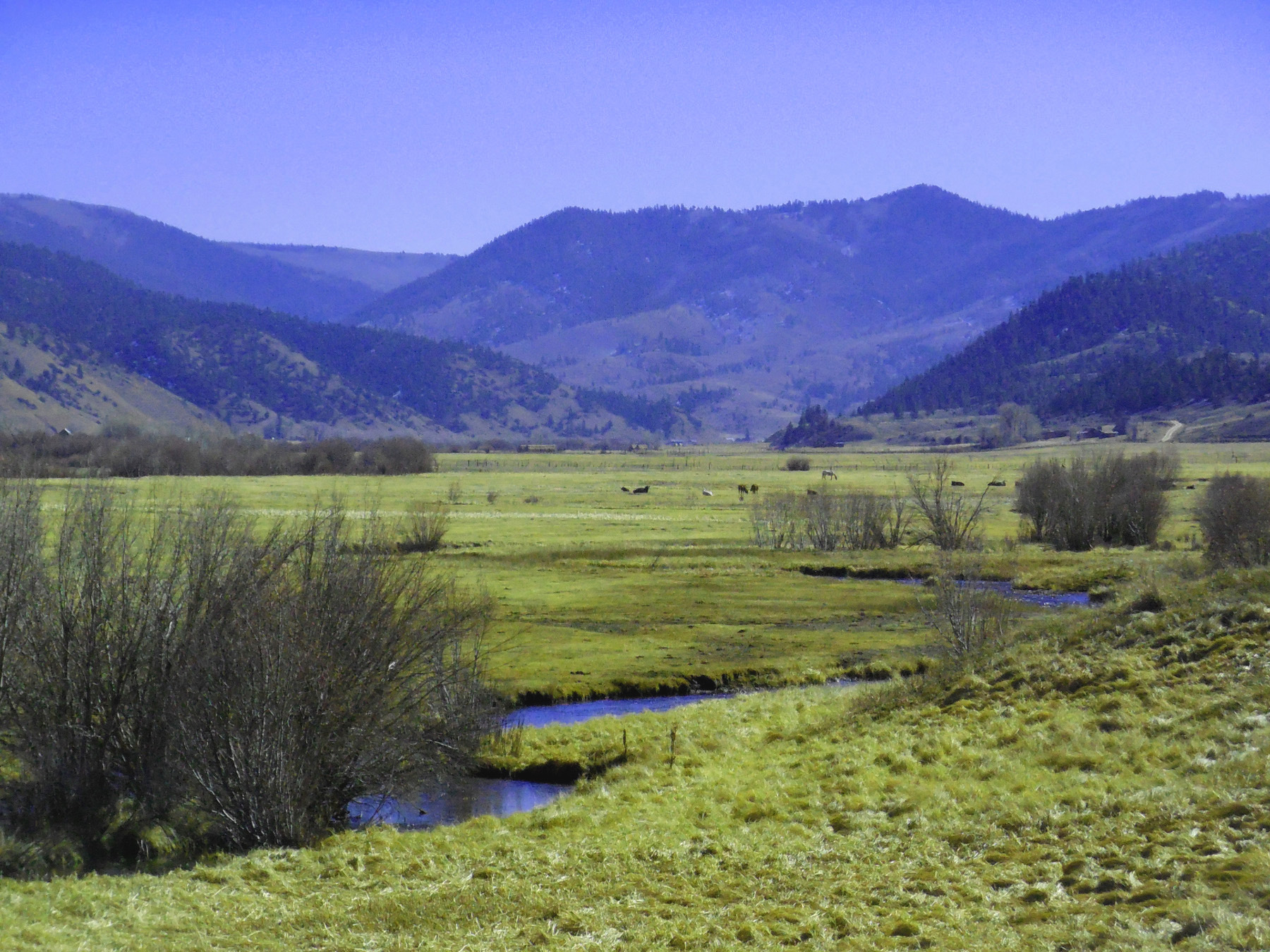 Cebolla Creek Valley