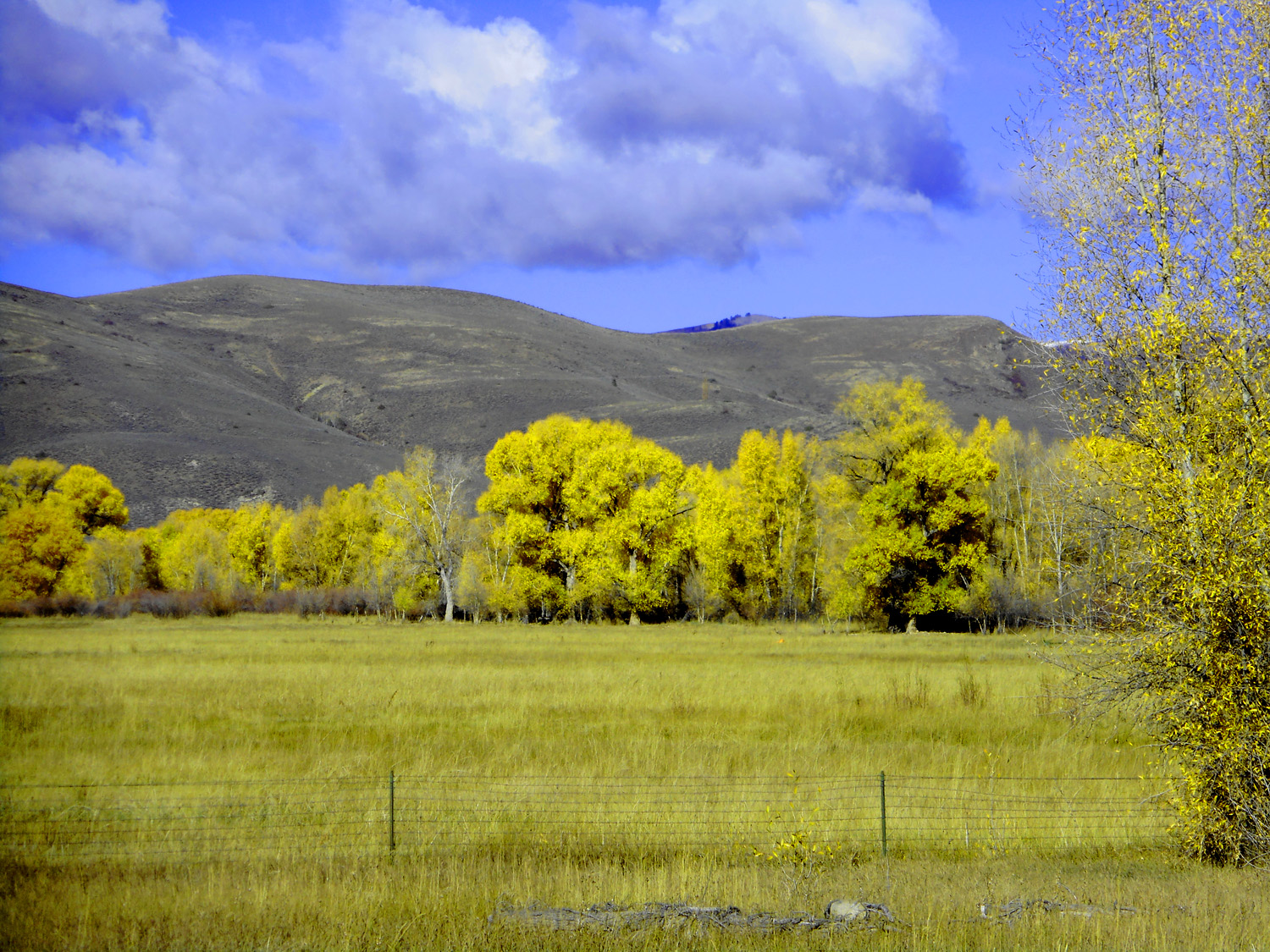 Gunnison Valley